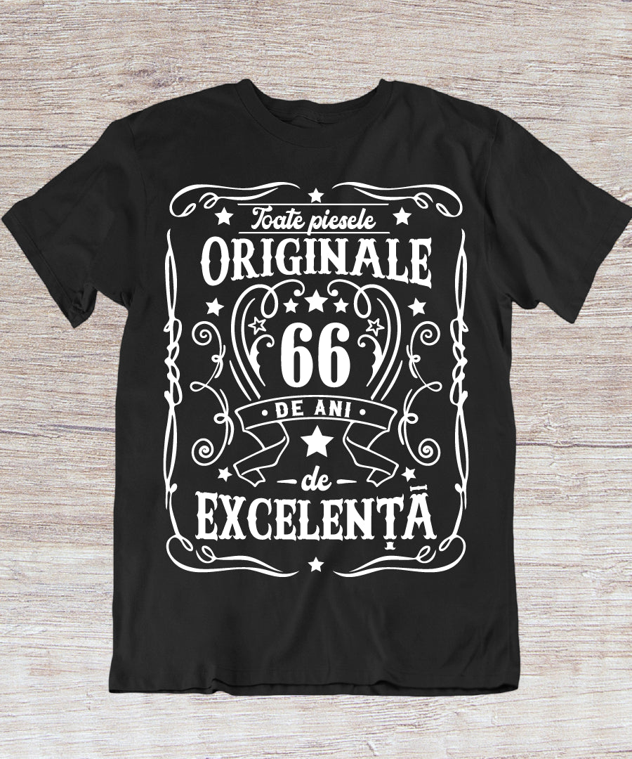 Tricou Cadou 66 de Ani | Zi De Naștere
