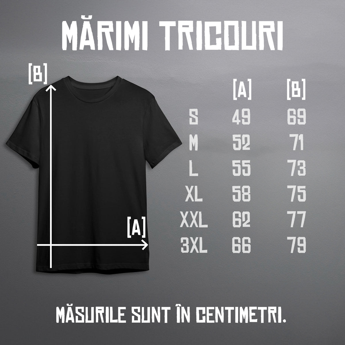 Tricou Romania Emblema
